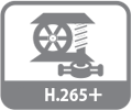 h.265+