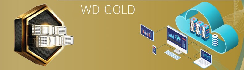 wd-gold-banner-product
